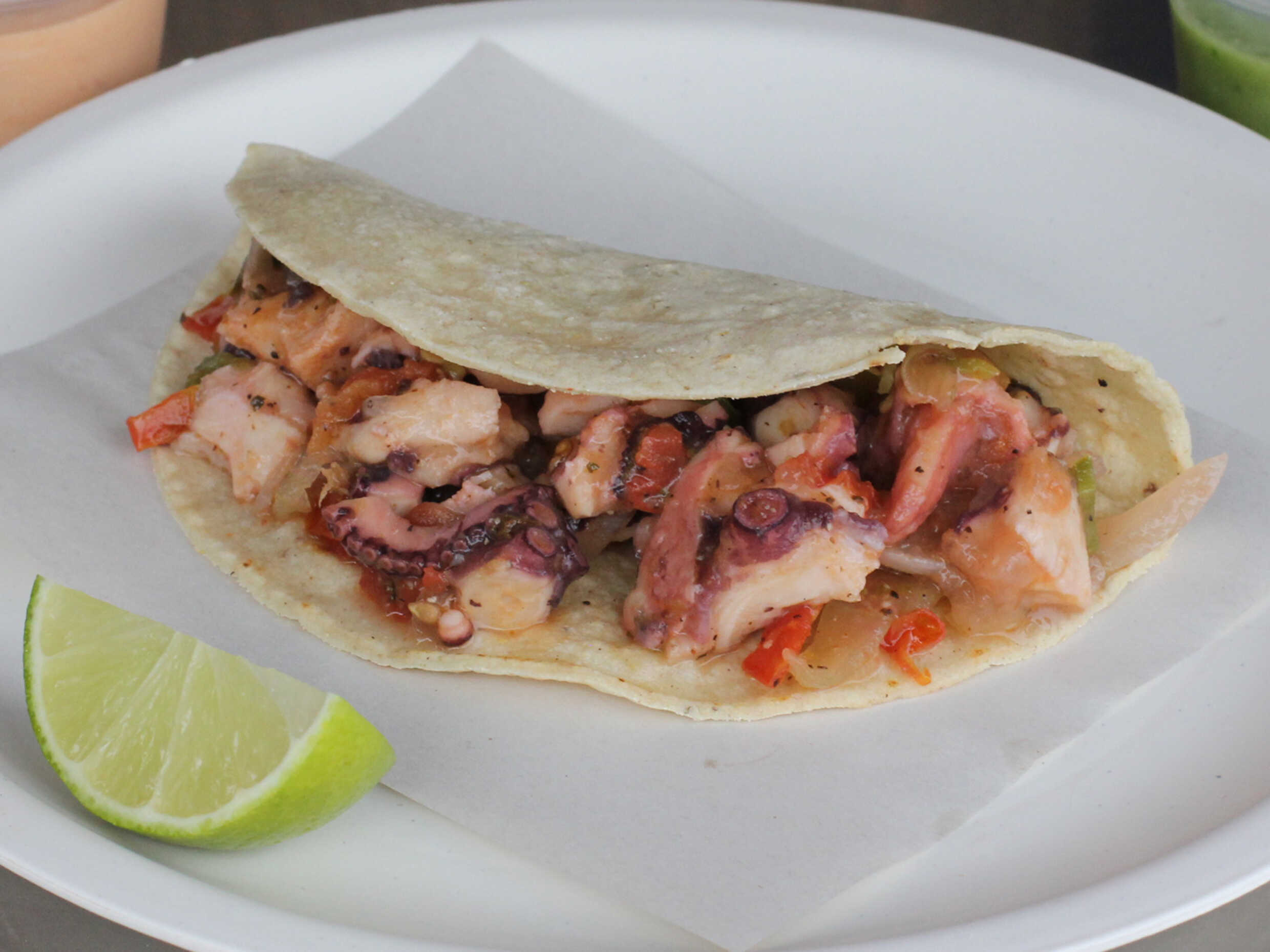Pulpo