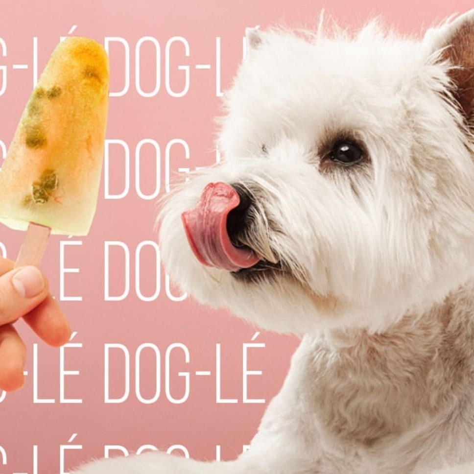 O Picolé feito especialmente para o seu doguinho com fruta de verdade (70%) e água. Sem aditivo, açúcar, conservantes, corantes.