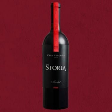 O ícone do vinho Brasileiro. Sua chegada majestosa tornou-se inesquecível e com o passar do tempo, as novas edições foram se destacando e demonstrando todo o potencial e a tipicidade do Vale dos Vinhedos. Grandes vinhos são classificados desta maneira não somente pela sua indiscutível qualidade, mas sim por sua indelével tipicidade. Em 2015, mais uma vez o Casa Valduga Storia Merlot carrega a tradição e excelência do terroir. Tempo, dedicação e paciência fizeram com que as videiras cultivadas nas encostas ensolaradas do Vale dos Vinhedos proporcionassem a mais pura matéria-prima, sendo eternizada em forma de vinho através das mãos de um enólogo. Mais do que um vinho, Storia é uma ode ao novo cenário vitivinícola brasileiro.