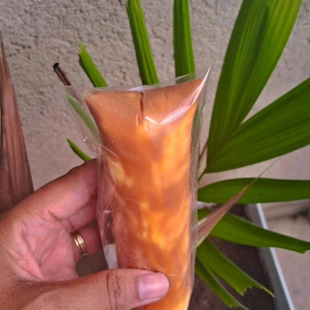 Sacolé Gourmet Ninho com Doce de Leite A cremosidade do leite Ninho se une ao sabor irresistível do doce de leite, criando uma explosão de sabor em cada mordida. Uma sobremesa gelada que é puro carinho e indulgência! ️