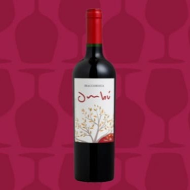 Região: Canelones / Uruguai  Uva: Tannat  Produtor: Braccobosca  Características olfativas Aroma intenso de chocolate com um toque de especiarias e florais.  Características gustativas Vinho bem equilibrado e redondo, sabor de chocolate com um toque de especiarias e florais.