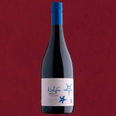Região: Vale de Casablanca / Chile  Uva: Pinot Noir  Produtor: Kalfu  Características Visuais Vermelho intenso e profundo com reflexos violáceos .  Características olfativas Aromas frutados, com notas de frutas vermelhas e baunilha .  Características gustativas Corpo leve, pouca passagem por madeira, taninos suaves e acidez equilibrada.