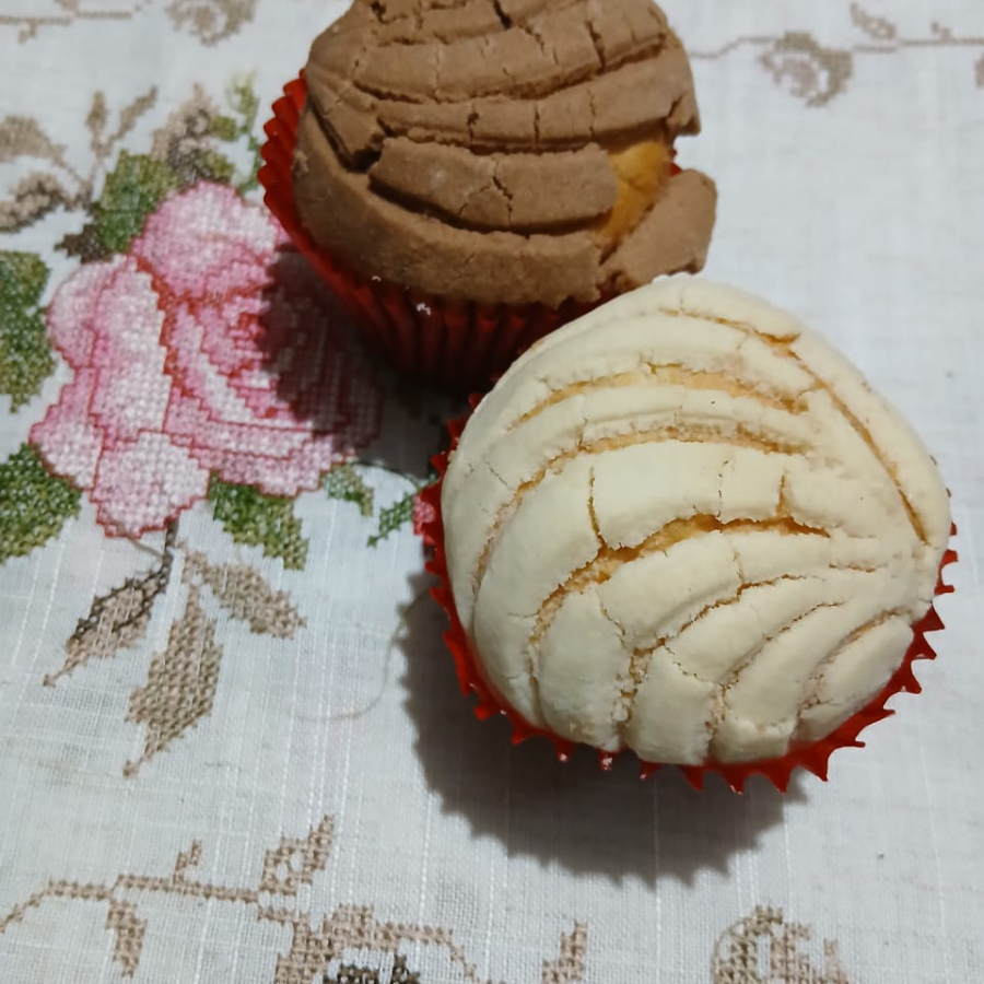 Manteconchas