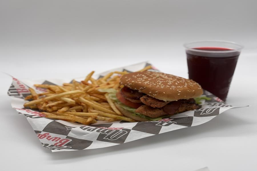 PAQ 5 AMERIX BURGER ESPECIAL