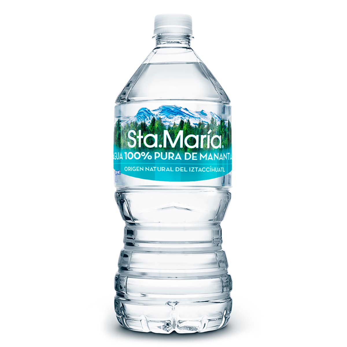 Agua Natural Santa María 1L