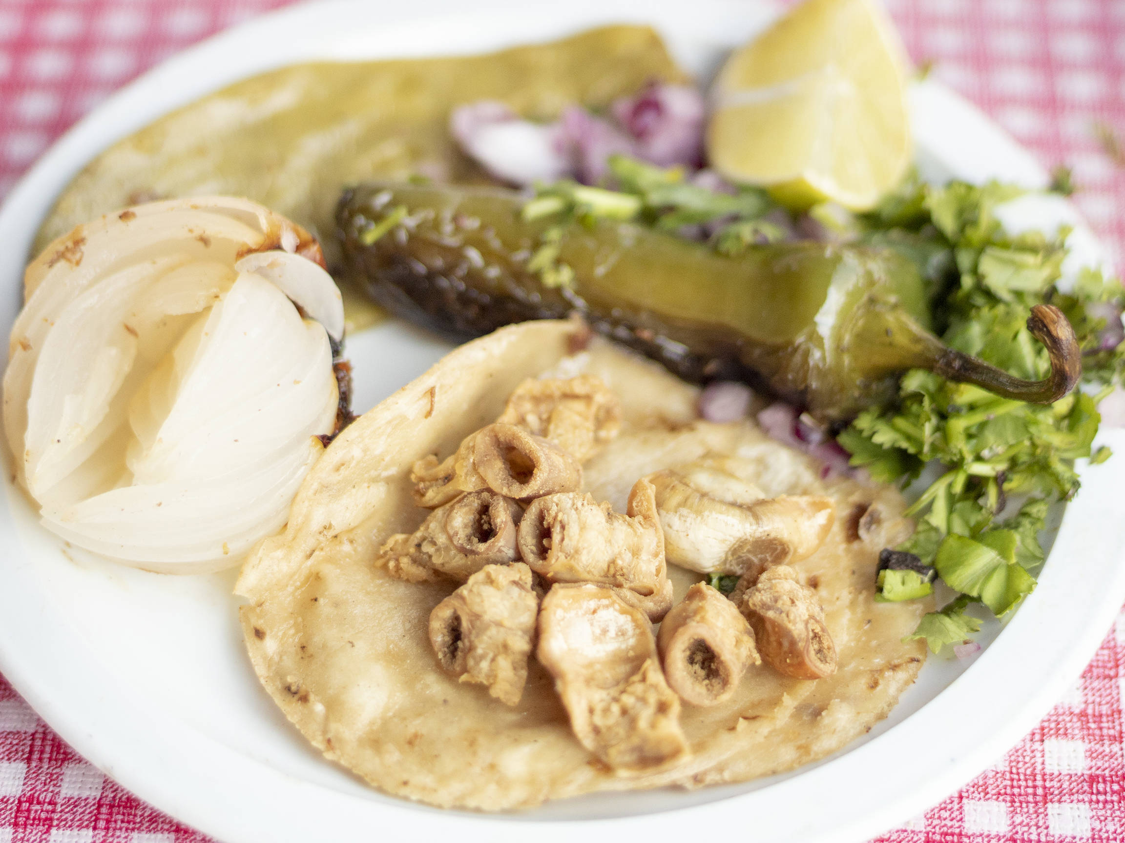 Taco de Tripa Dorada con Papa