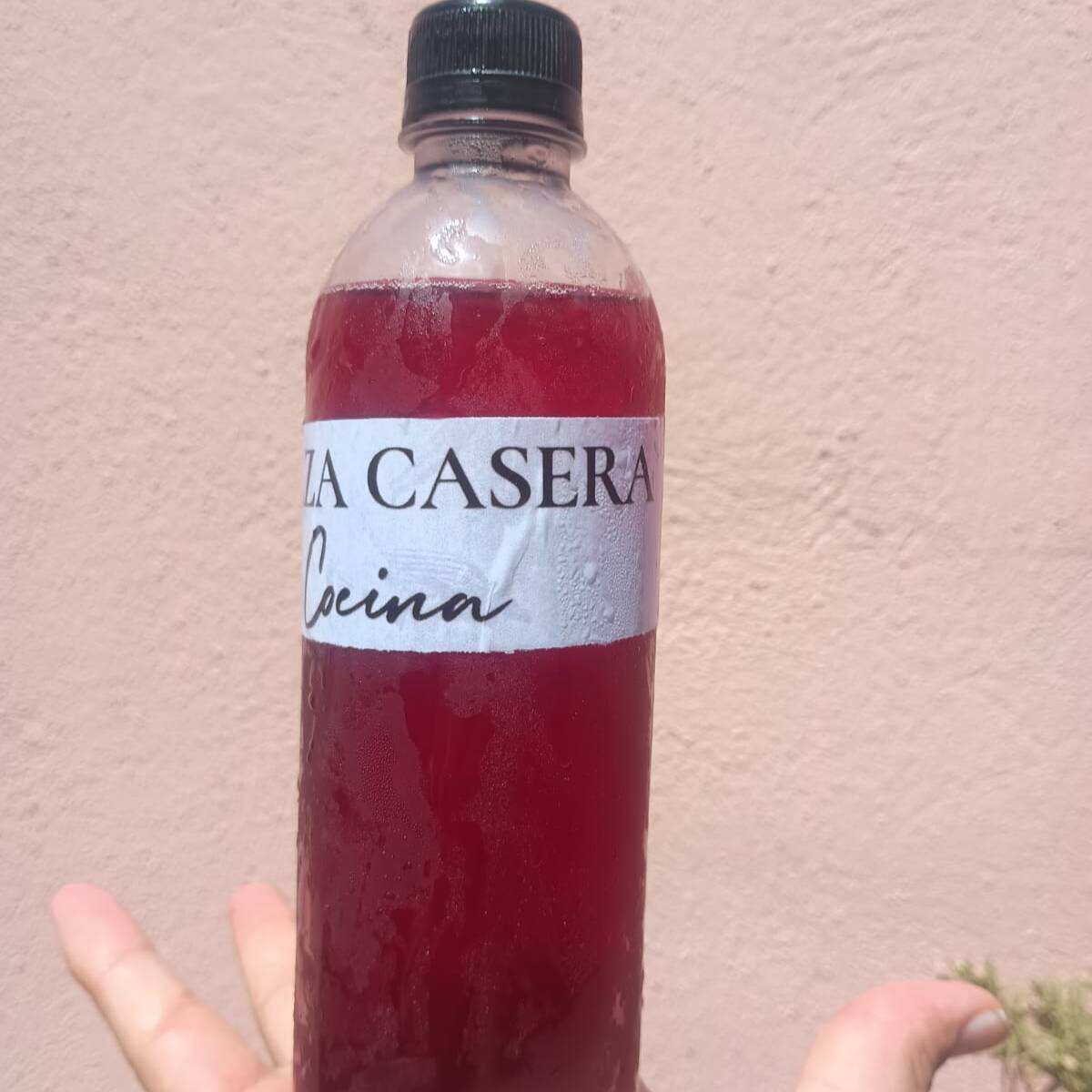 Agua Sabor Jamaica