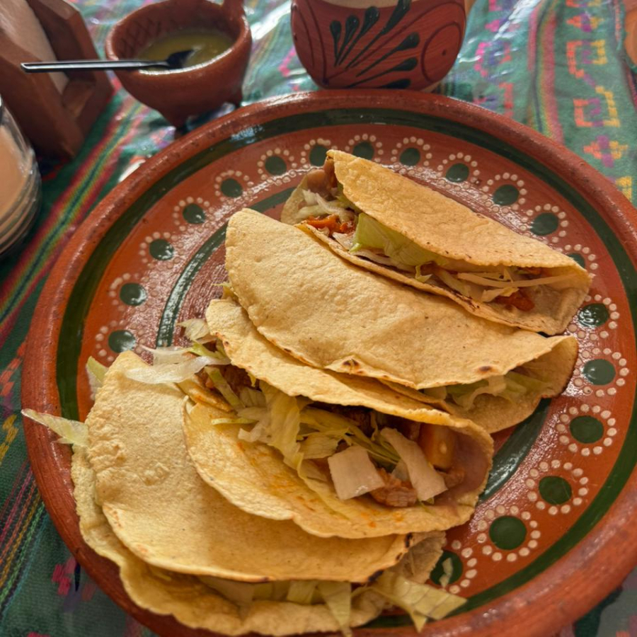 Tortilla De Maiz de Deshebrada Natural