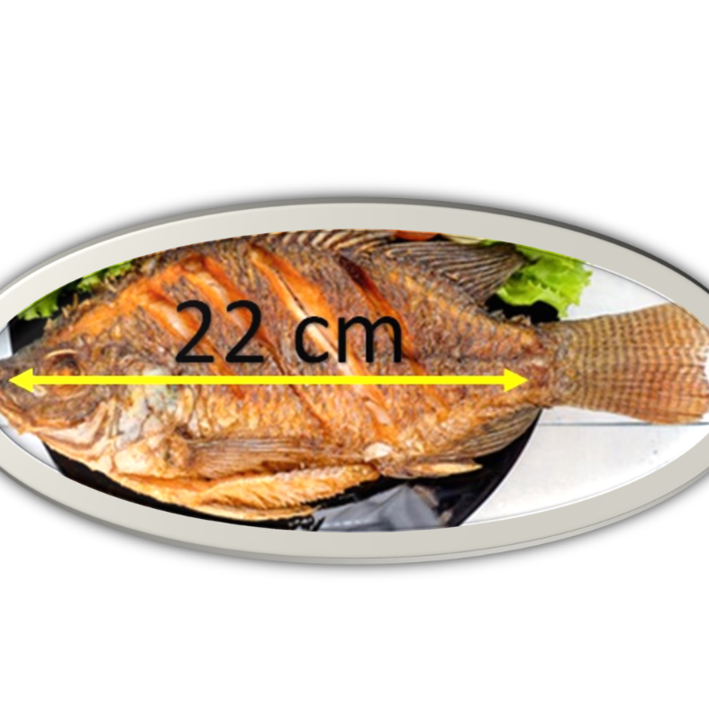 Combo: Mojarra Frita + Platanitos Fritos + Refres