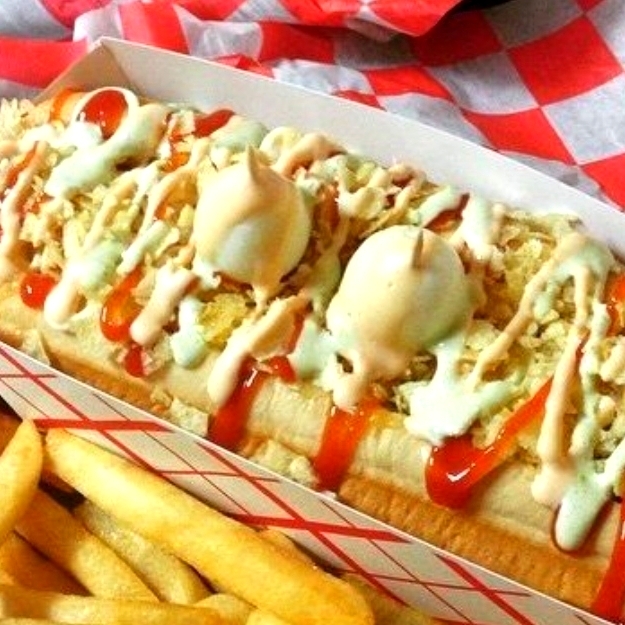 Perro especial