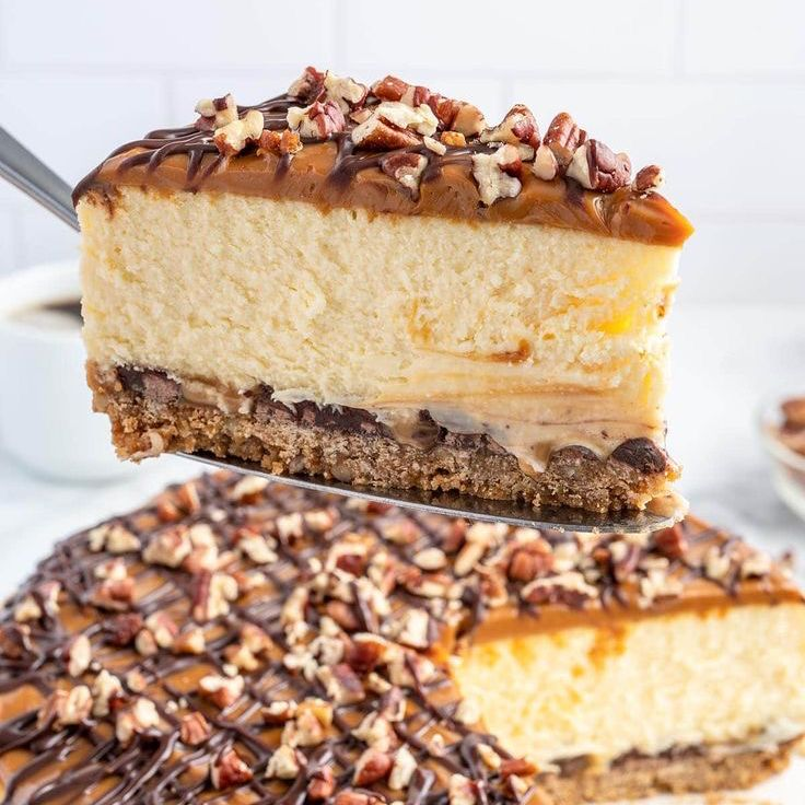 ChesseCake Tortuga