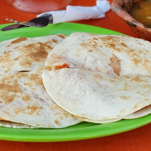 Gringa Sencilla