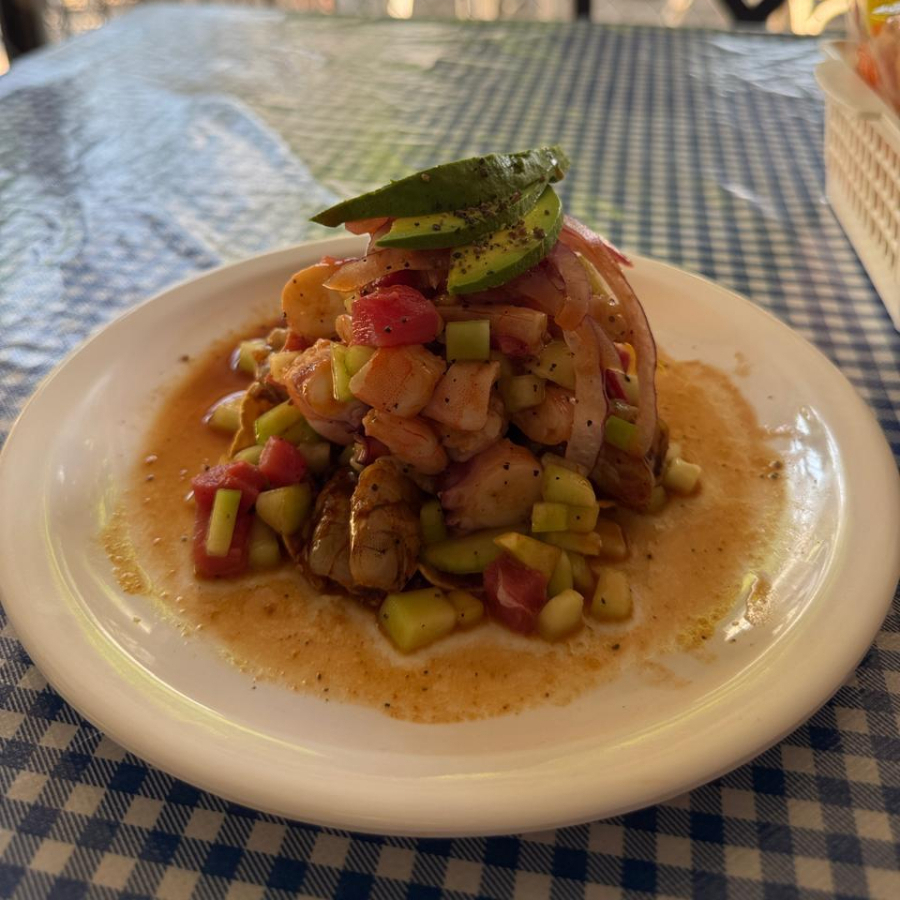 TOSTADA SANTOS