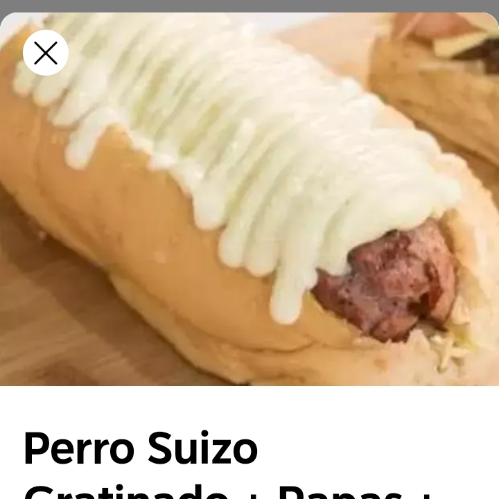 PERROS SUIZO