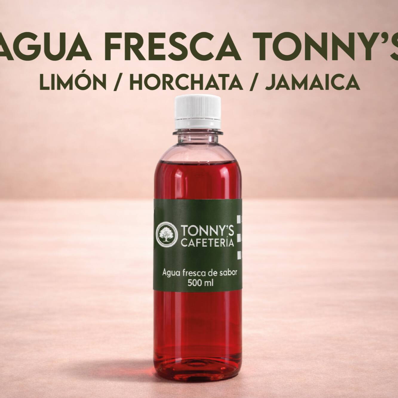 Agua Fresca Tonny's 500 ml