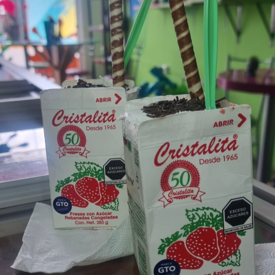 Fresas Congeladas