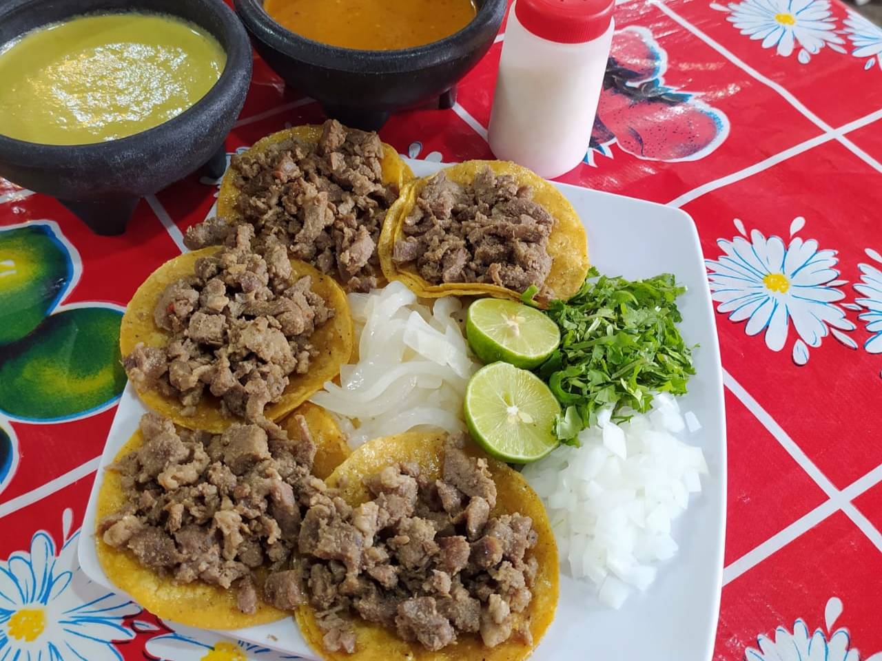 Tacos de Bistec