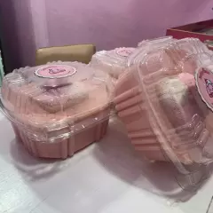 GELATINA DE GALLETA SPONCH