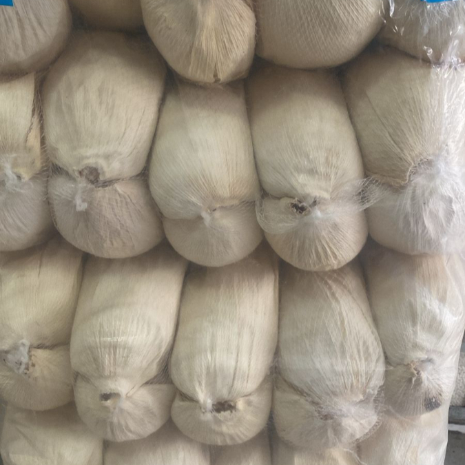 HOJA PARA TAMAL CHICA