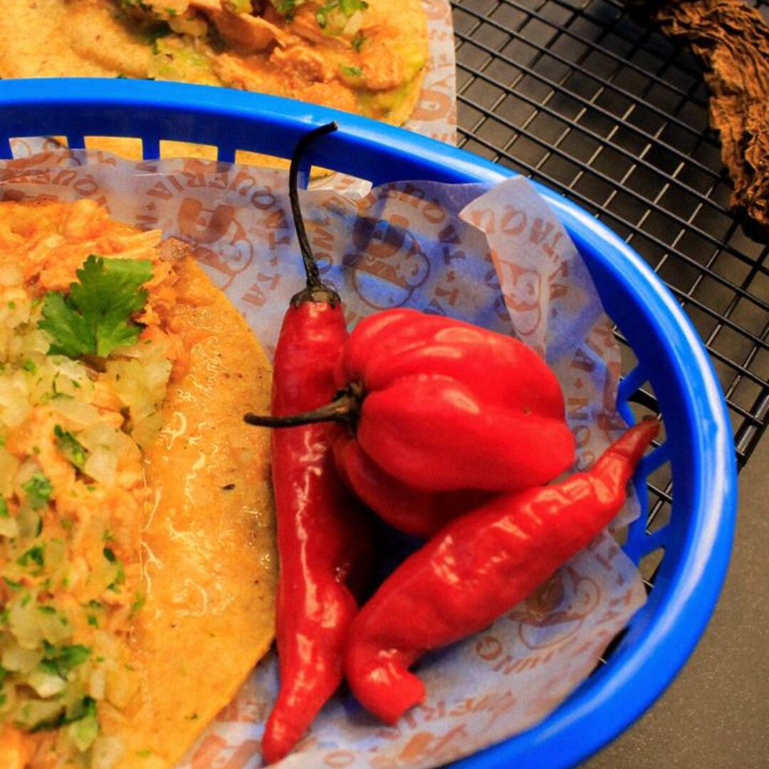 Taco Gallo Loco