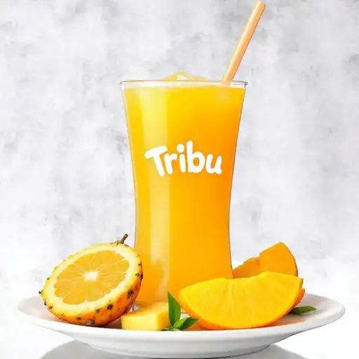 Tribu