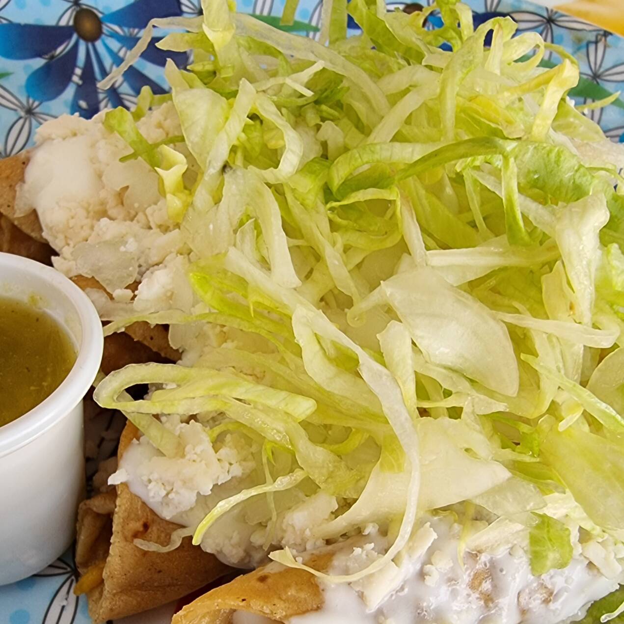 Tacos Dorados de Pollo