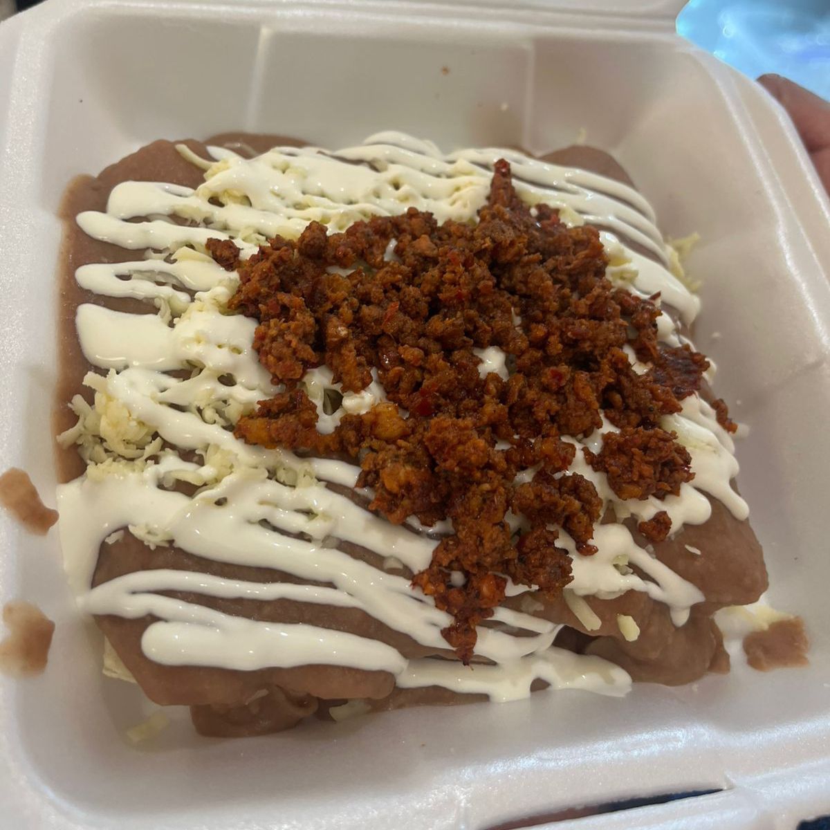 Enfrijoladas con Queso