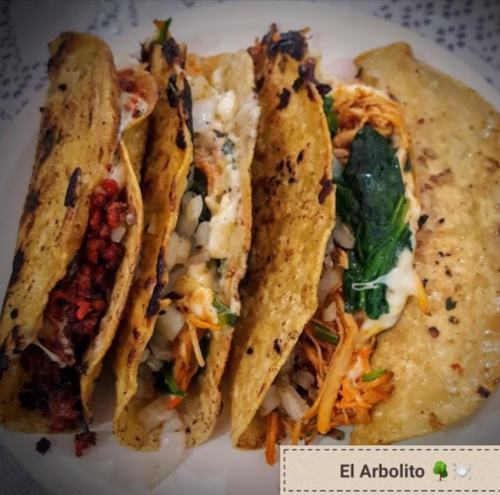 El Arbolito Succ. Pedregoso