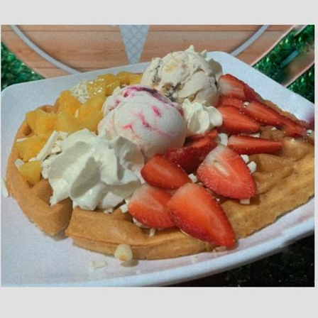 Waffle Gelato Grande