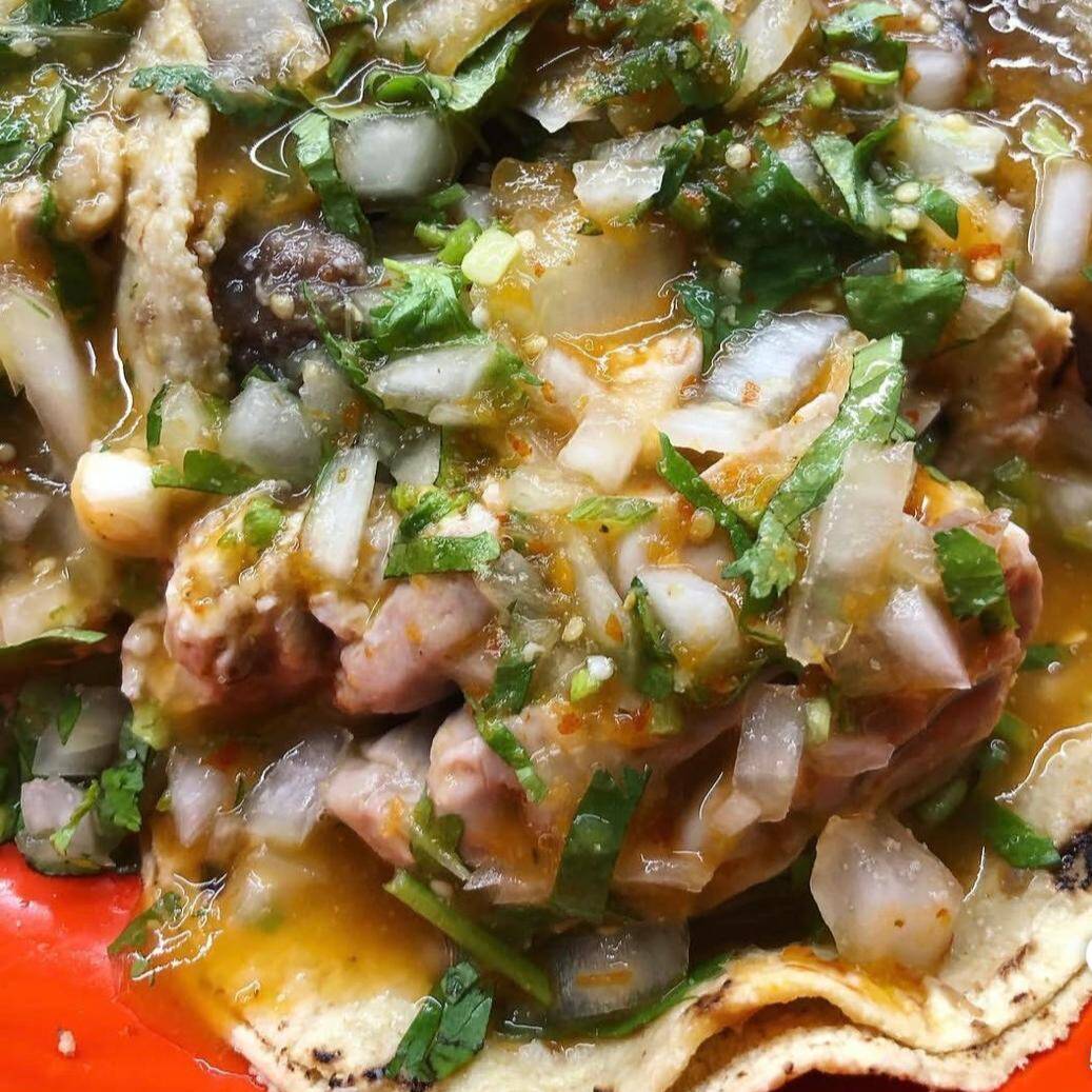 Taco de Sesos