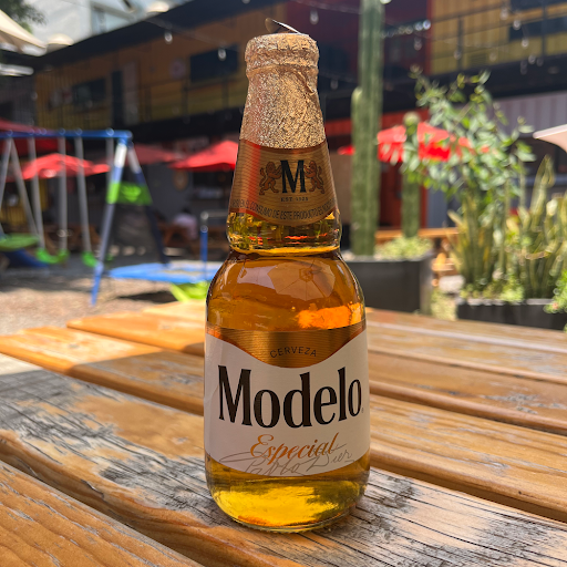 Modelo Especial