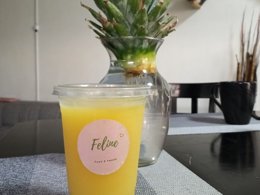 Jugo Don Gato