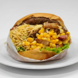 Pão, hamburguer, queijo, presunto, ovo, bacon, batata palha, milho, salada e molho