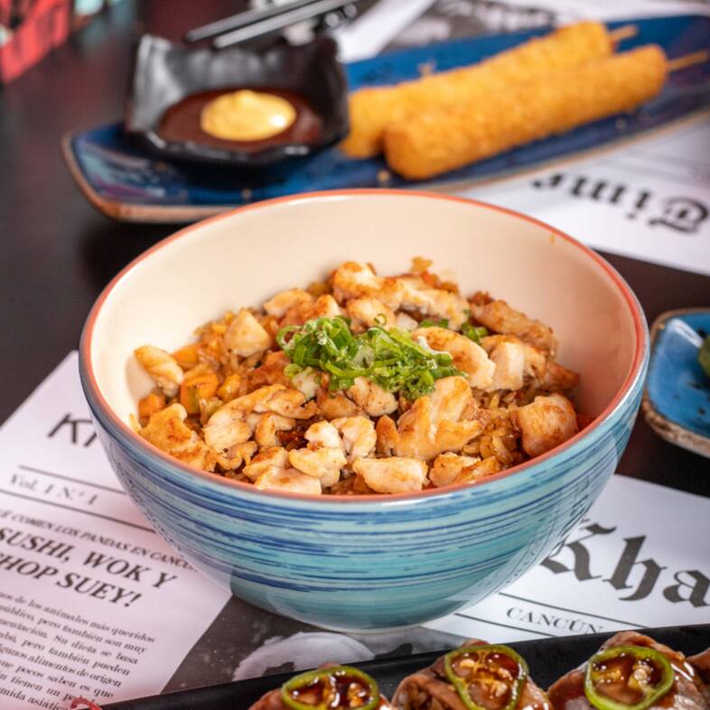 Yakimeshi Pollo