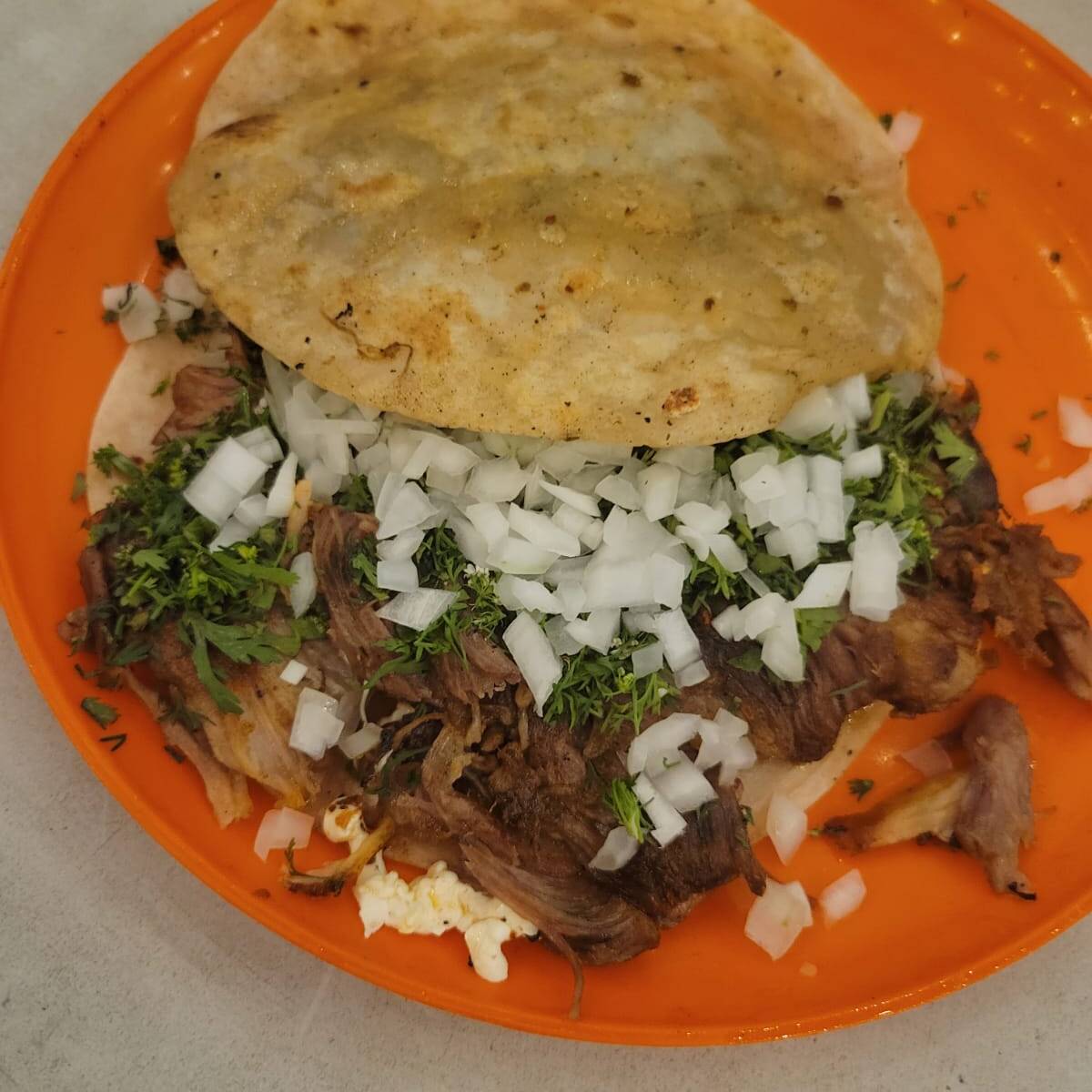Gringa de Barbacoa