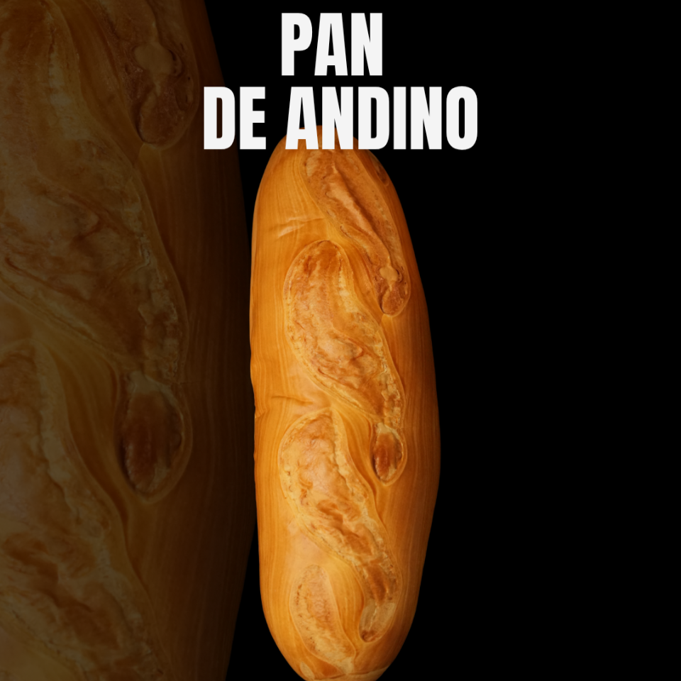 PAN ANDINO