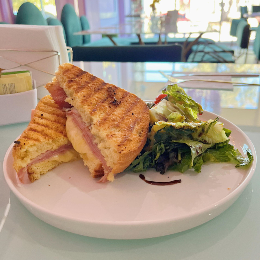 PANINI ESPECIAL