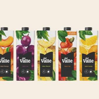 Suco Caixa Sabores 1l