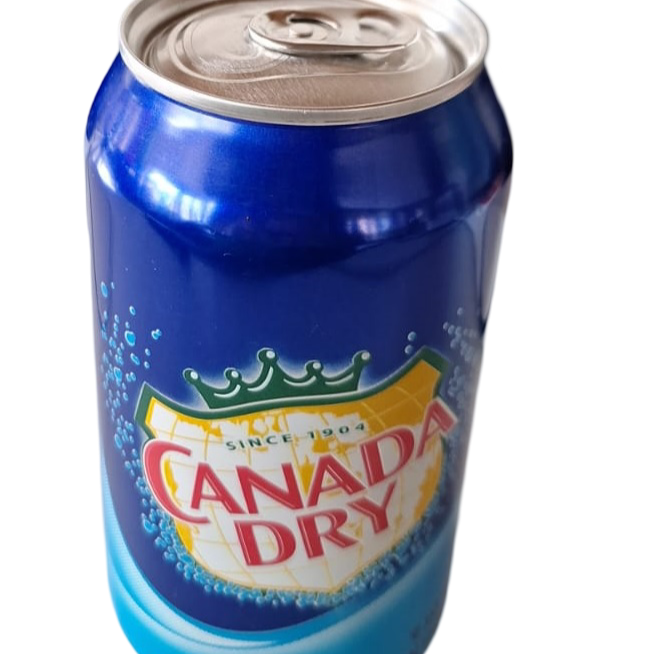 Agua Mineralizada 355 ml