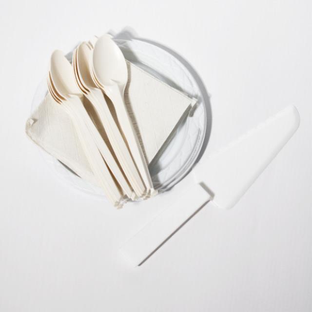 PAQUETE DESECHABLE 10 PZ