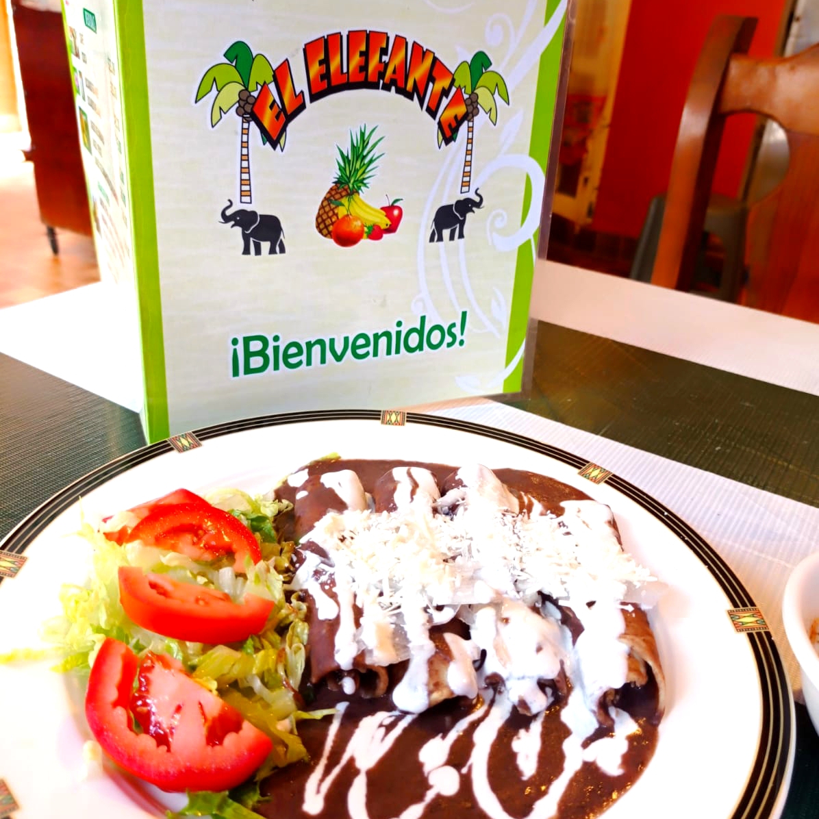 ENFRIJOLADAS CON POLLO