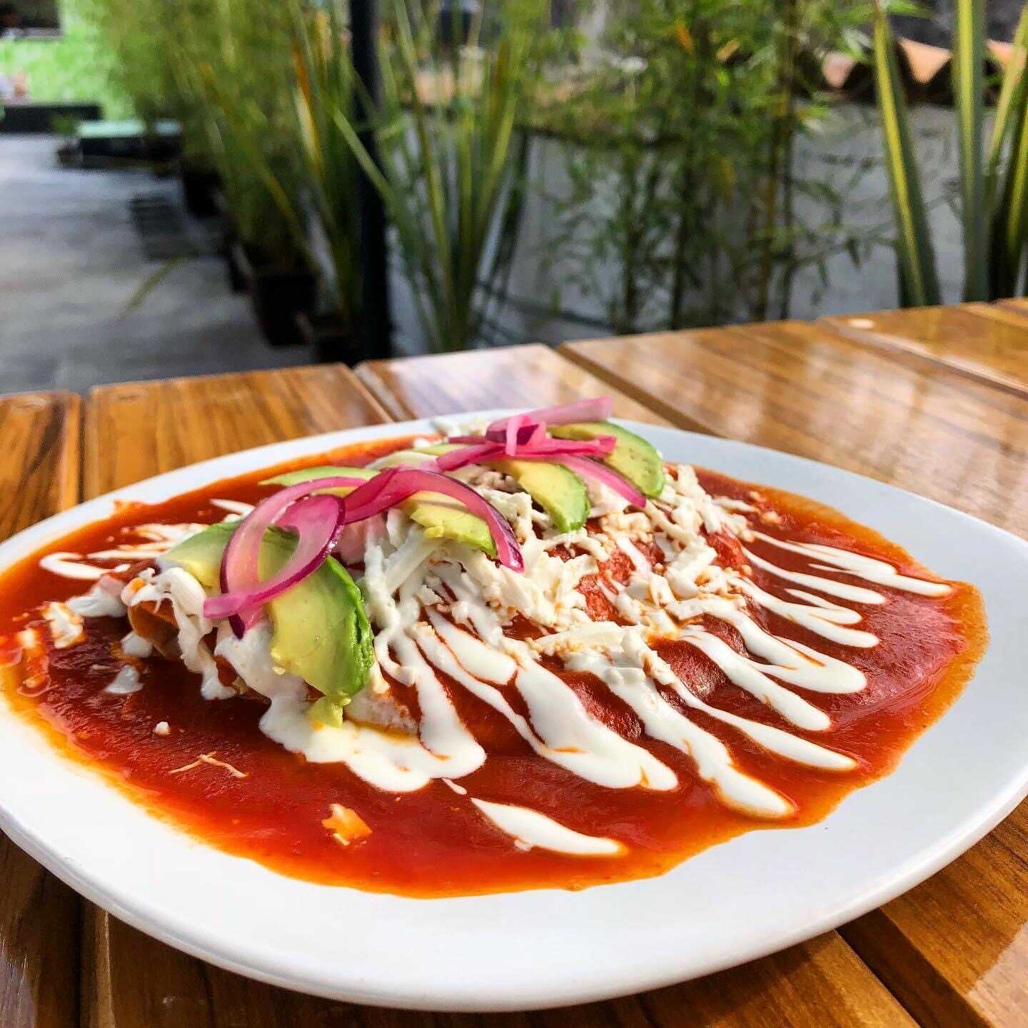 Enchiladas Fit con Pollo, Huevo o Arrachera