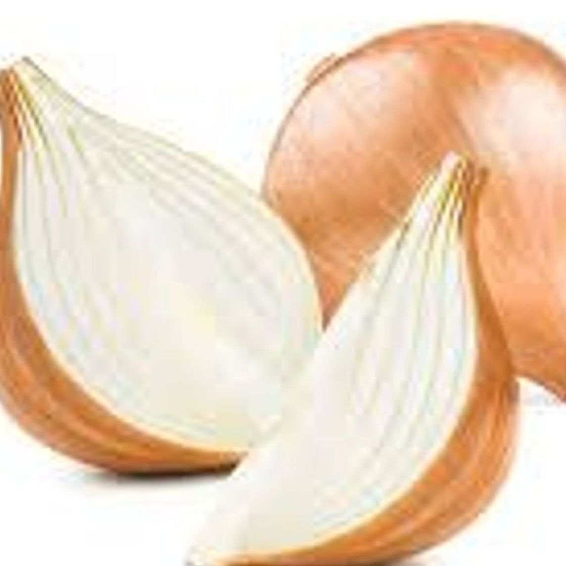 CEBOLLA