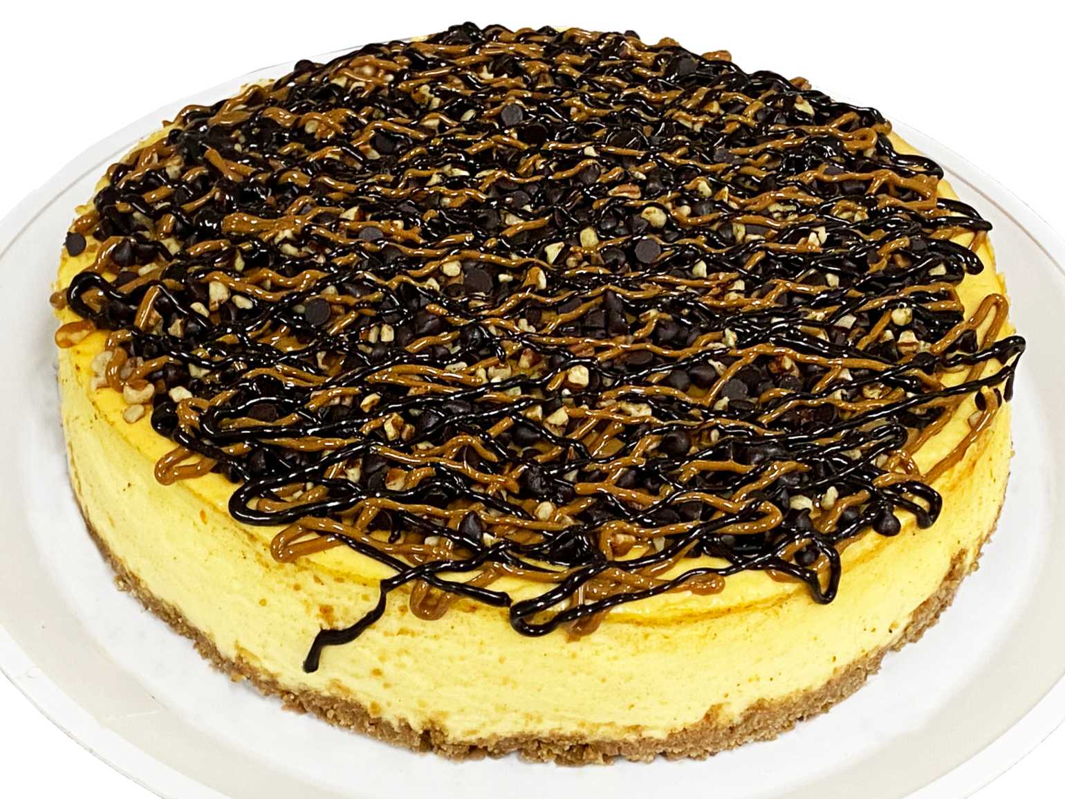 Cheesecake Tortuga