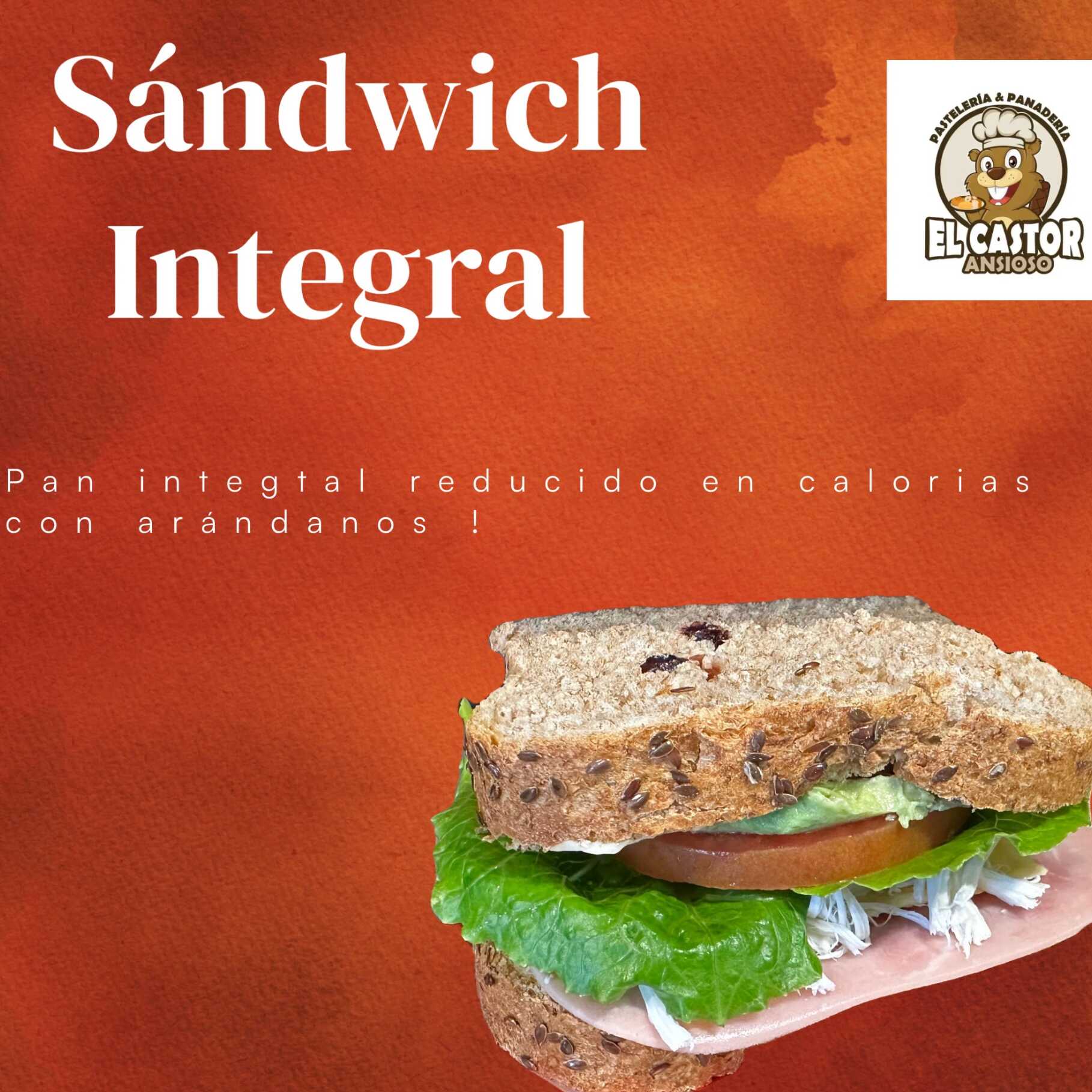 Sándwich Integral con Arándano