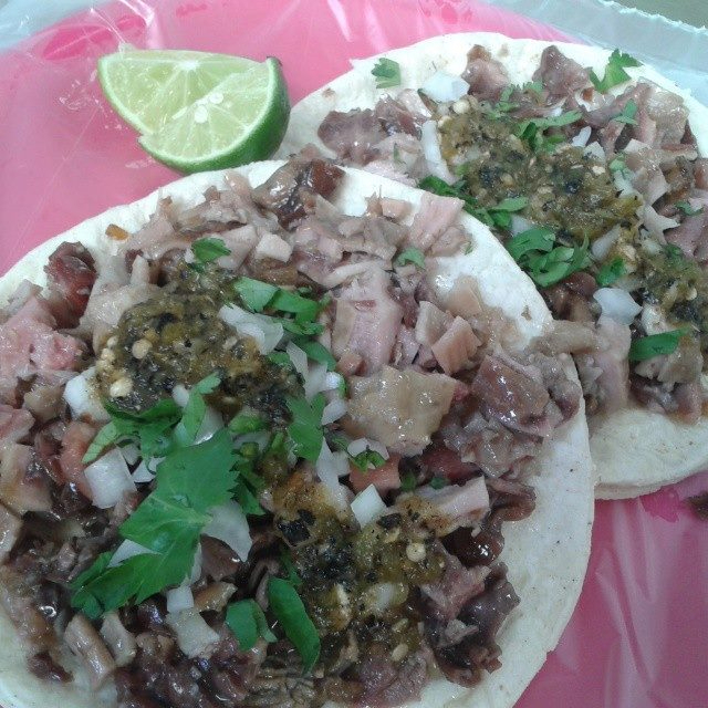 Taco de Panza