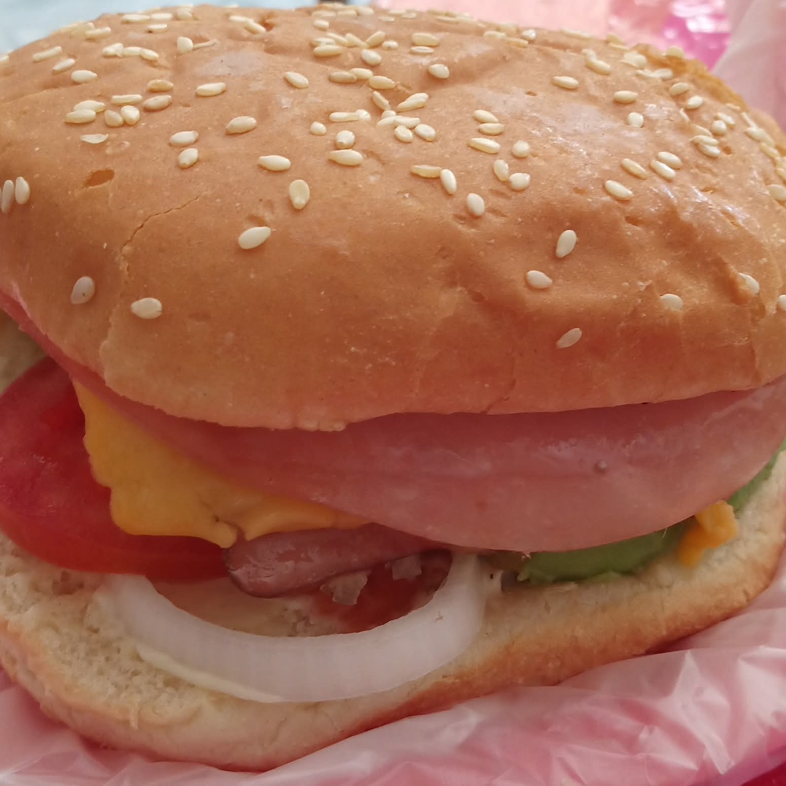 HAMBURGUESAS DE CARNITAS