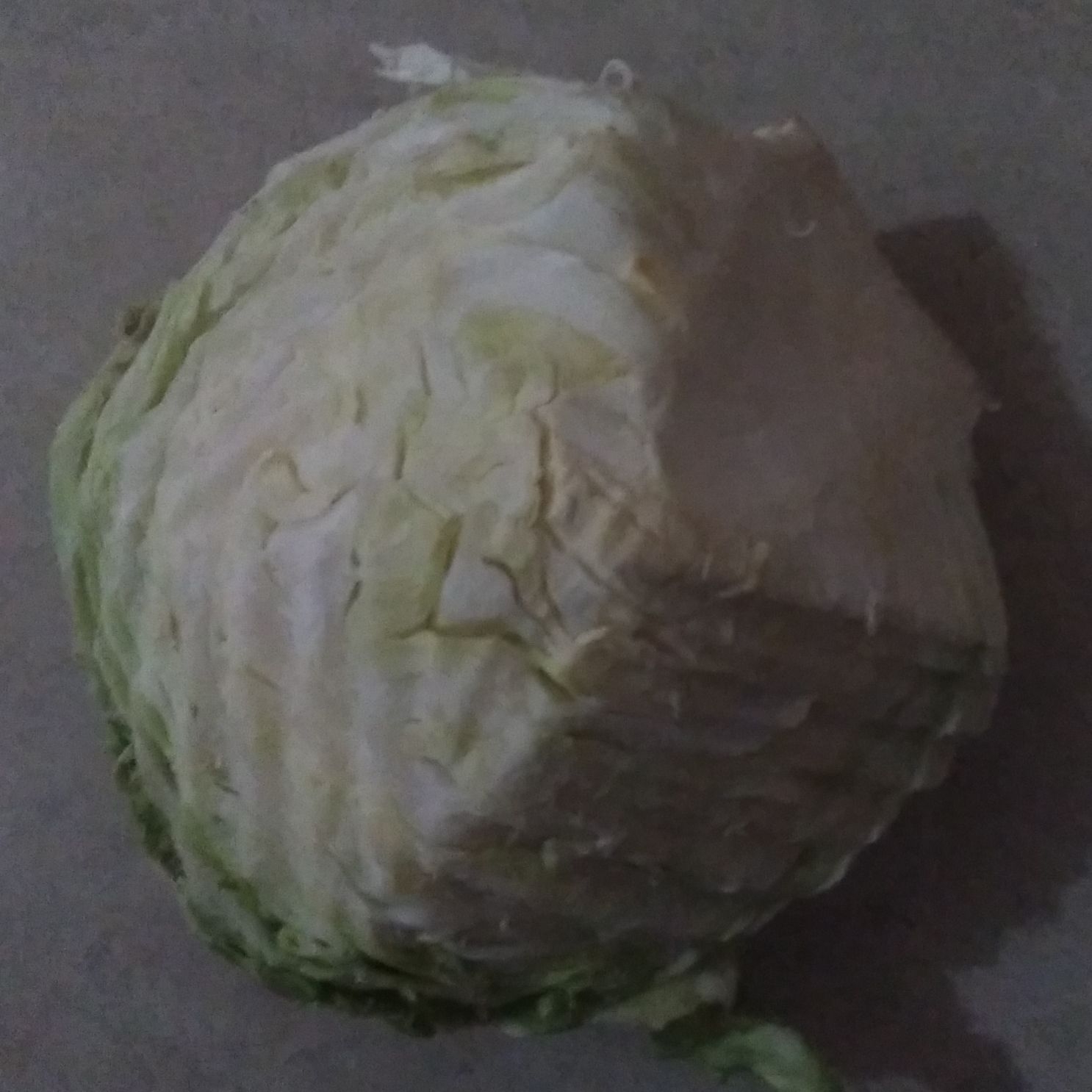 repollo