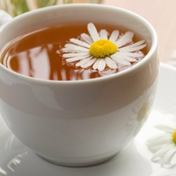 Infusión de Anís
