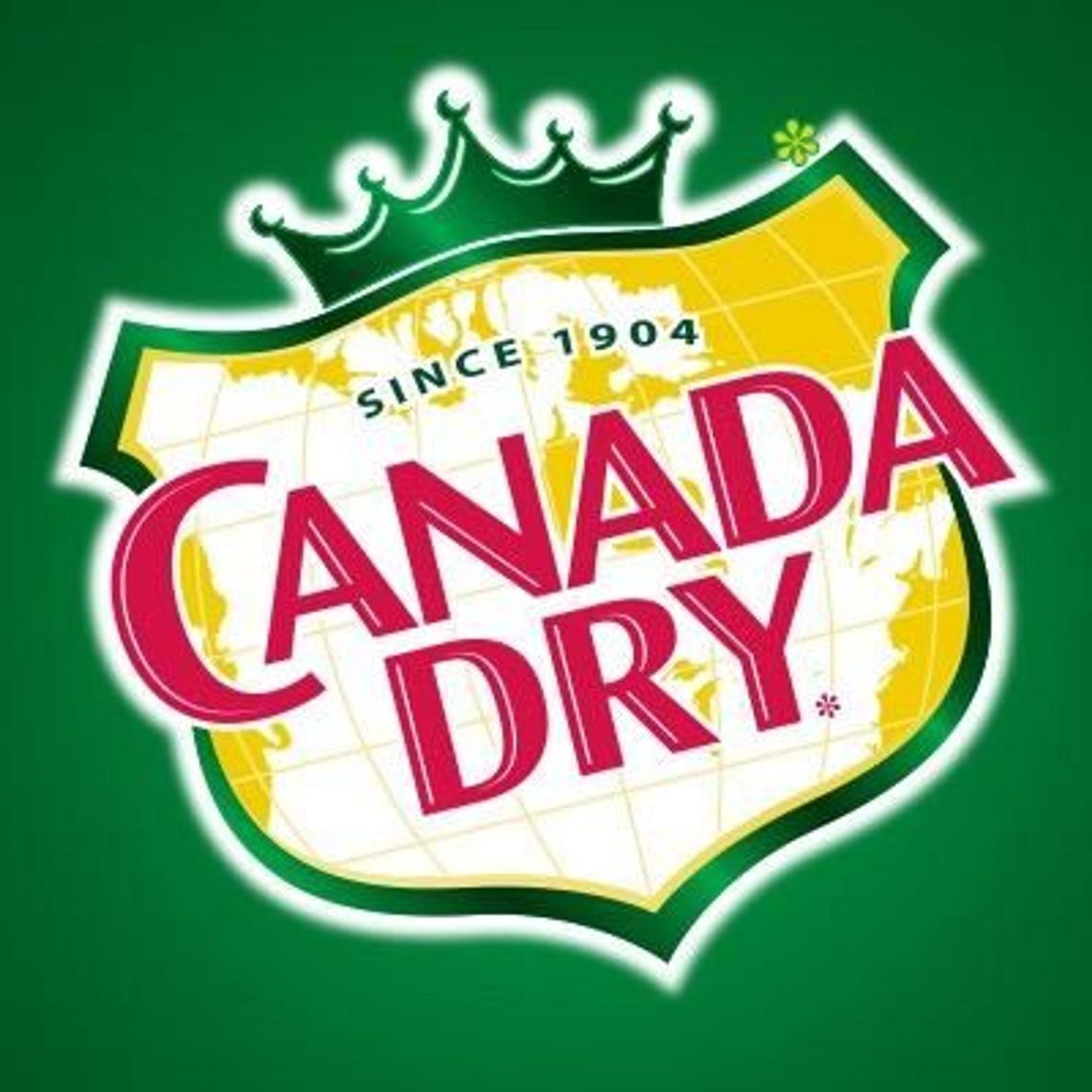 Ginger Ale 600 ml.